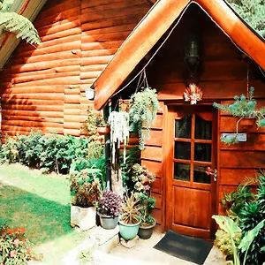 Moon Plains Forest Log Chalet Nuwara Eliya